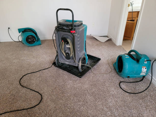 Best Sewage cleanup and water damage restoration  in Miami, AZ