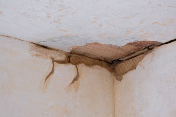 Best Fire Damage Restoration  in Miami, AZ