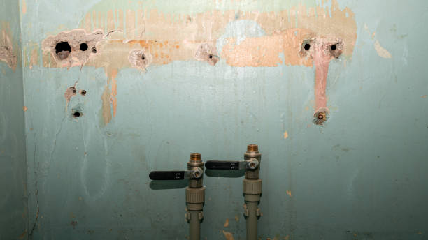 Best Sewage cleanup and water damage restoration  in Miami, AZ