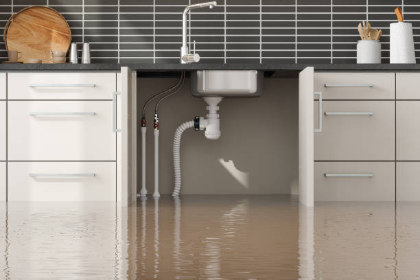 Best Professional water damage repair  in Miami, AZ