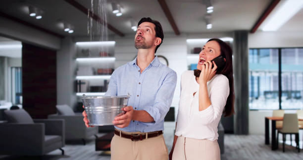 Best Mold removal after water damage  in Miami, AZ