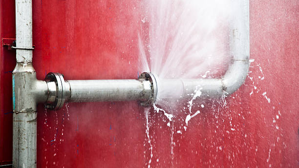 Best Mold removal after water damage  in Miami, AZ