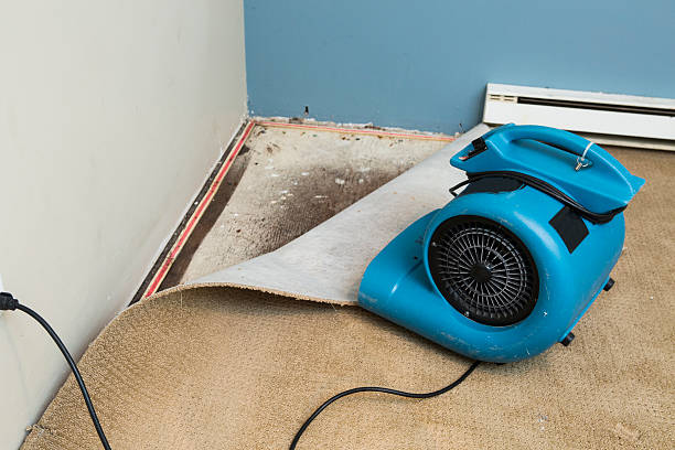 Local water damage restoration in AZ